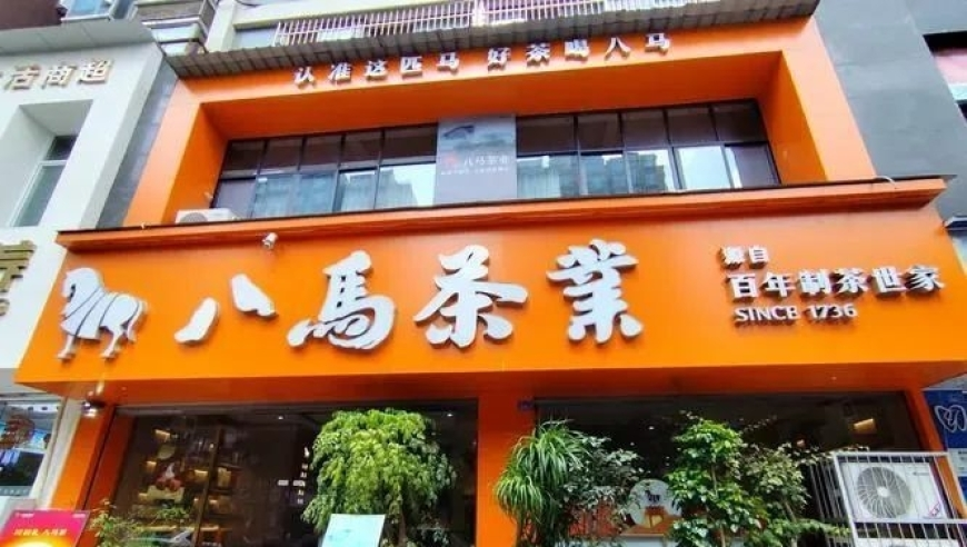 2025正版资料免费资料大全,特朗普会谈中突然盯上万斯的袜子,公开决策资料解释落实_影像版V1.39