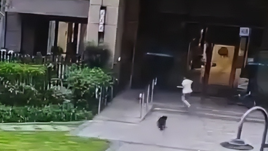 正版澳门管家婆资料大全王中王,男子称妻子上公厕感染诺如病毒,详细释义解释落实_储蓄版V11.41