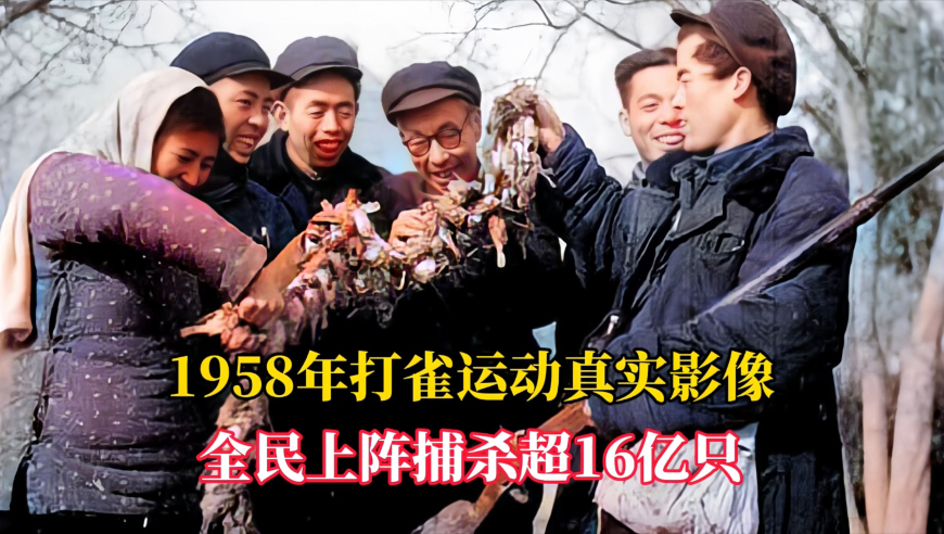 澳门四肖八码期期准免费正版,薛小婉怒斥韩安冉,完美答案解释落实_专家版V8.46