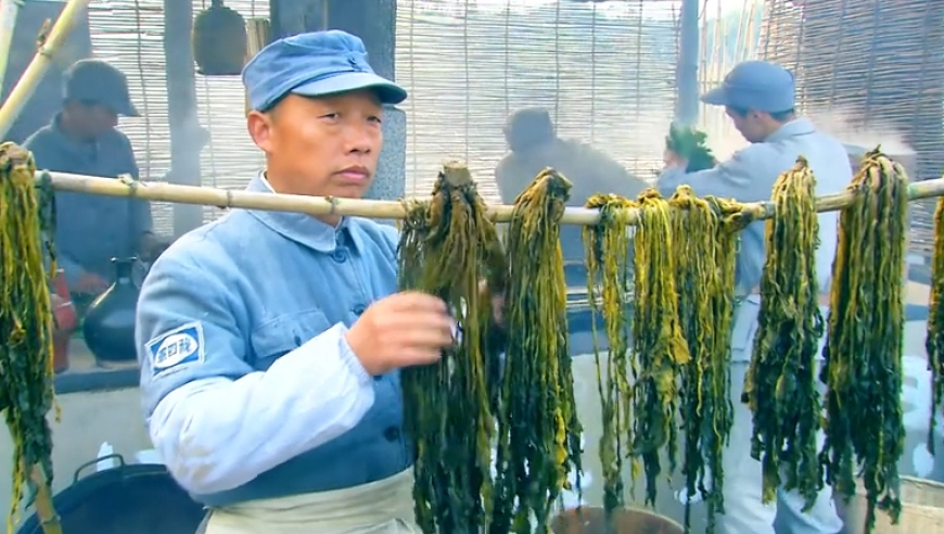 2025管家婆一码一肖资料33249,够了我心疼吴宣仪,整体规划执行讲解_影像版V5.20
